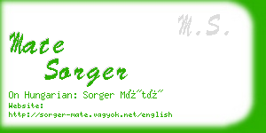 mate sorger business card